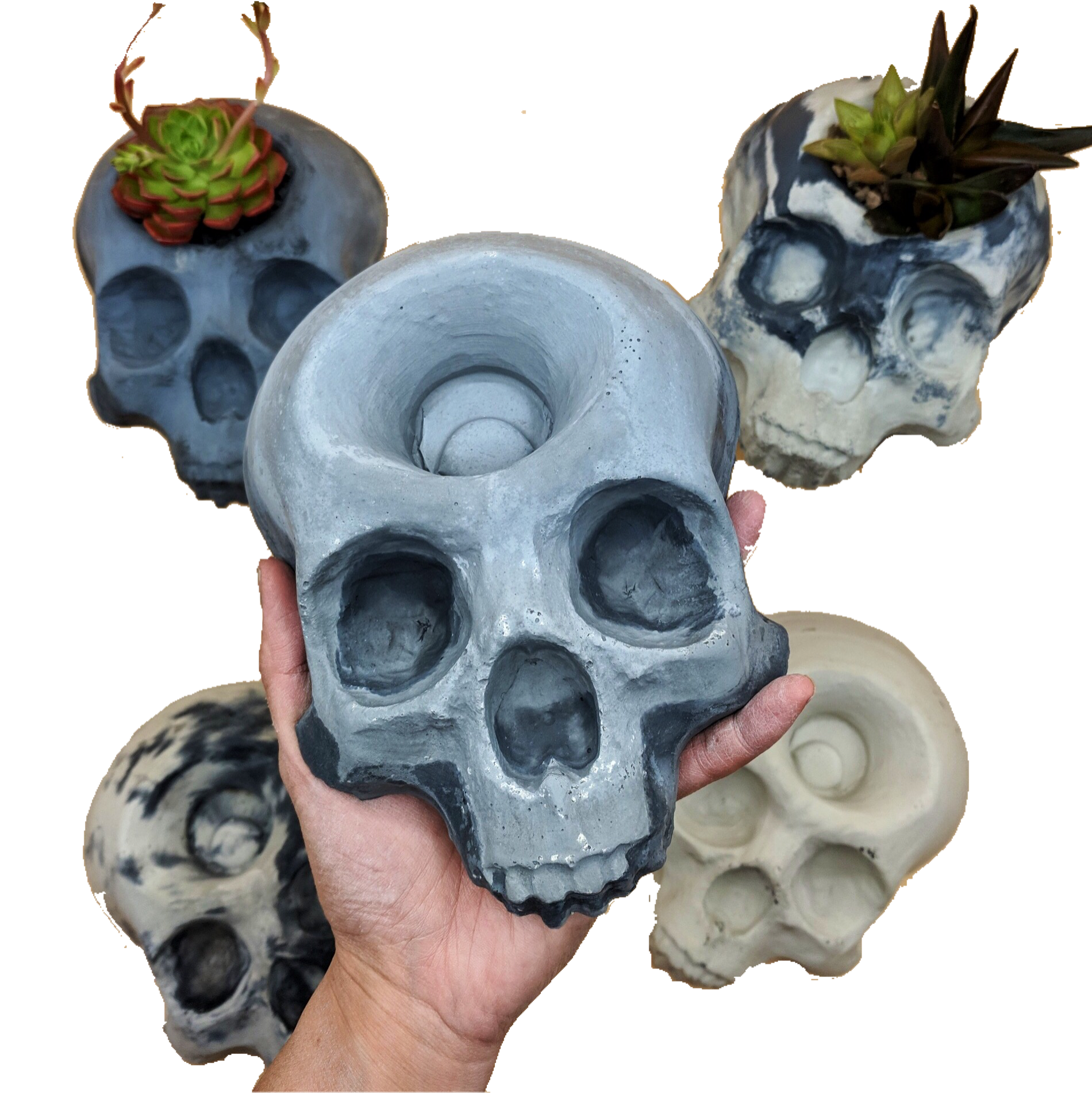 4pc Skull Mold Set  Pacific Mold Design