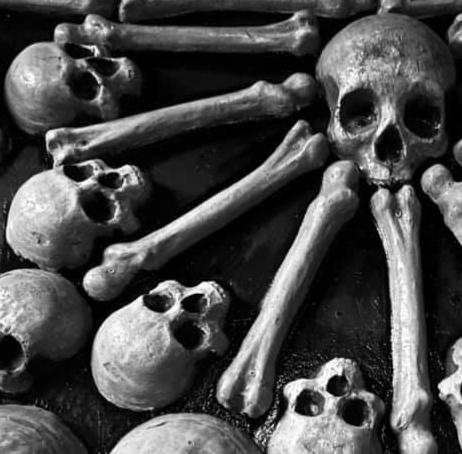 Skull Mold – MoldMarket