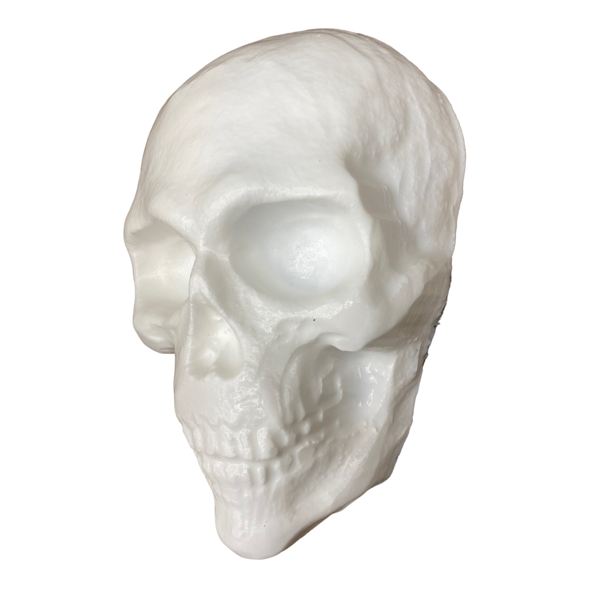 Full Scale Skull Mold Silicone – Pacific Mold Design