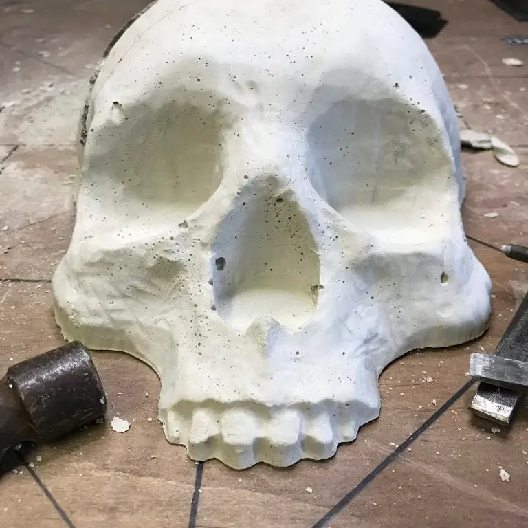 Skull Mold – MoldMarket