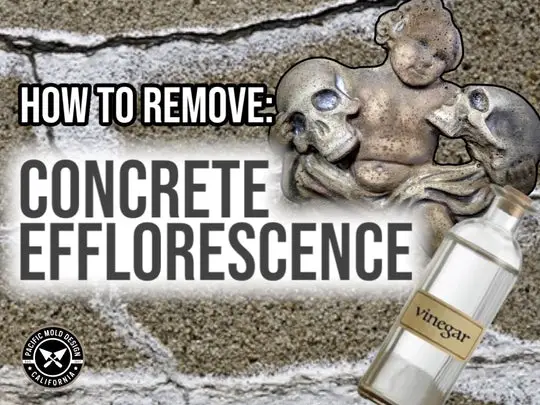 How To Remove Concrete Efflorescence
