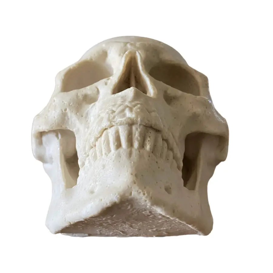 Flat Back Silicone Skull Mold