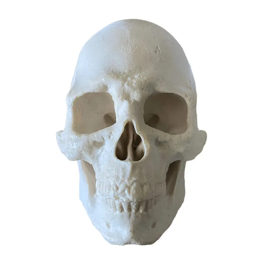 Flat Back Silicone Skull Mold