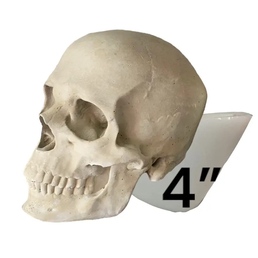 4” Skull Silicone Mold – Pacific Mold Design