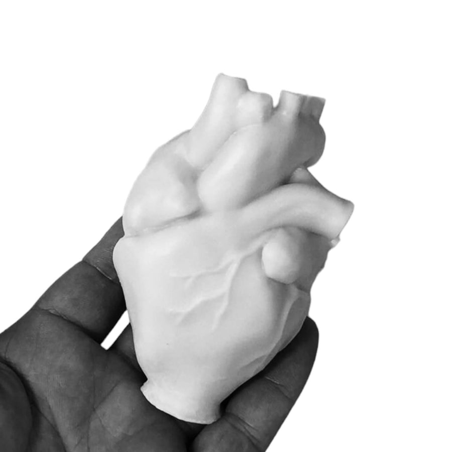 Human Heart Silicone Mold