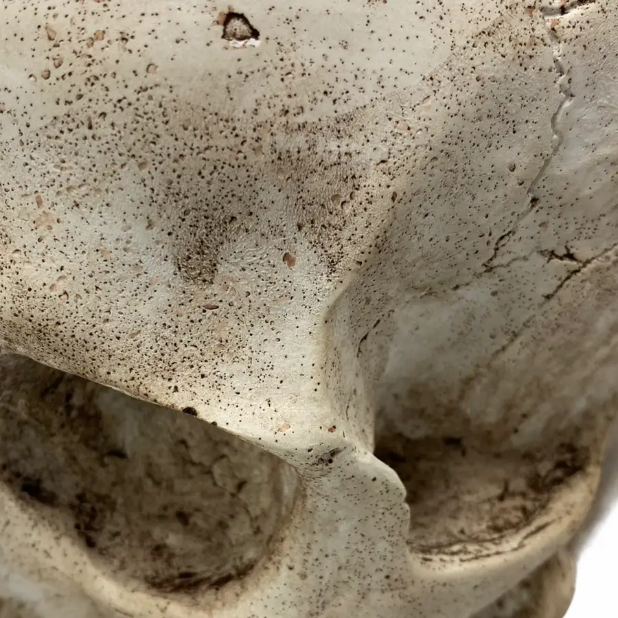 Full Scale Skull Mold Silicone