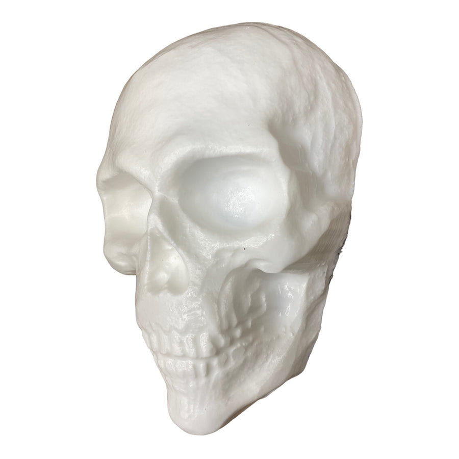 Skull Full Face Mold