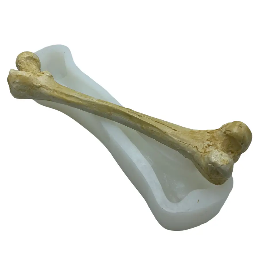 Silicone Bone Mold
