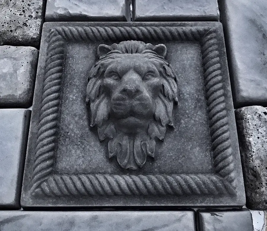 Lion Square Mold 12