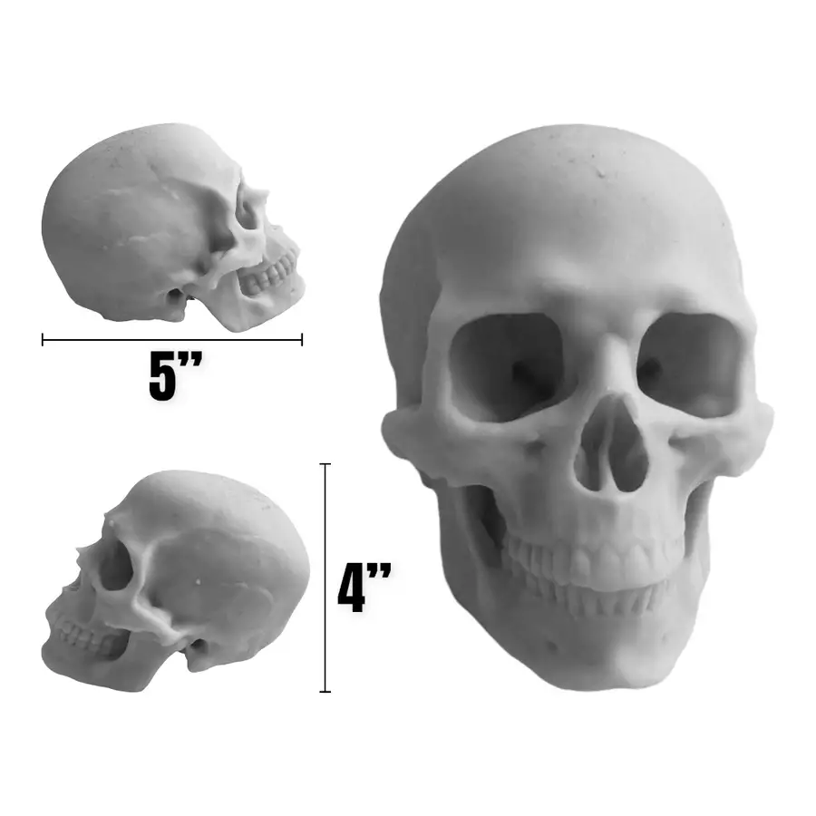 4” Skull Silicone Mold