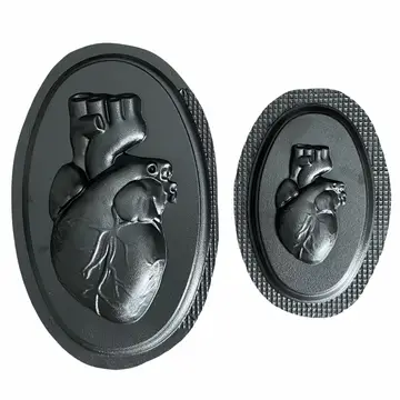 Anatomical Heart Molds