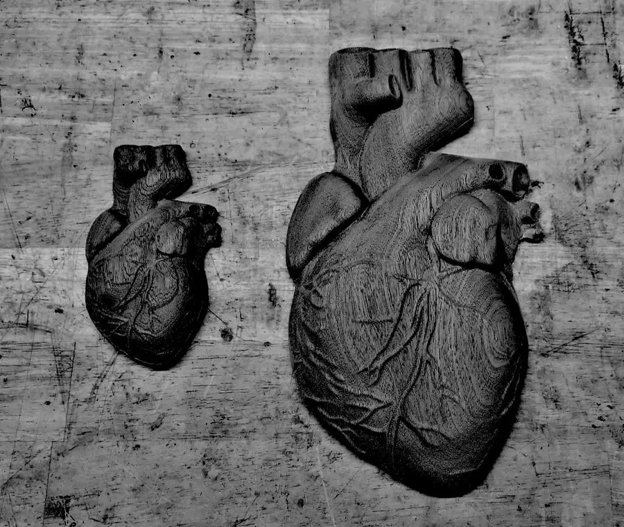 heart abs molds